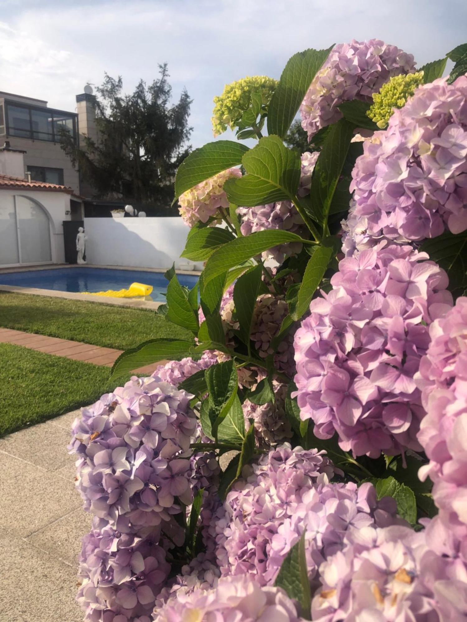 Apartamento Cova Dos Frei Vigo